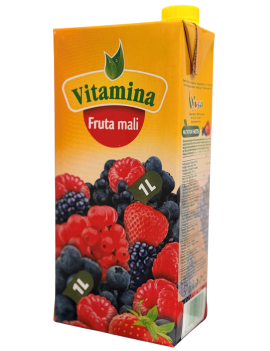Vitamina Waldfrüchte BCE 12*1l